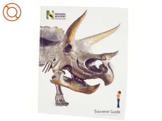 national history museum