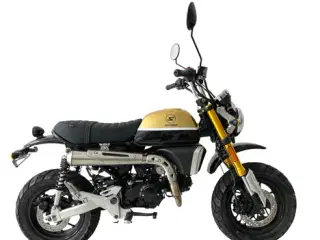 X-BONGO 50 CC LILLE KNALLERT  2,9Hk  4 gear