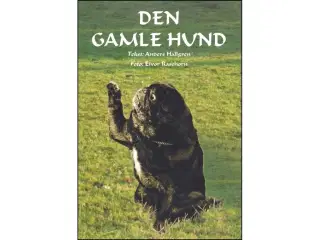 Den gamle Hund