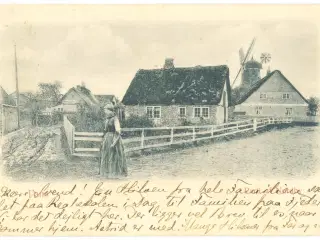 Fanø. Parti fra Nordby, 1908