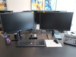 2 stk. computerskærme SAMSUNG S24E450, tastatur, mus, computer LENOVO