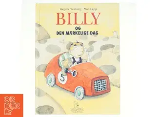 Billy og den mærkelige dag