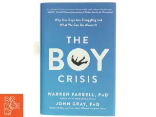 The Boy Crisis (Bog)