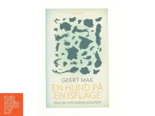 En hund på en isflage af Geert Mak (Bog)