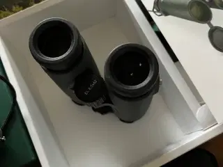Kikkert