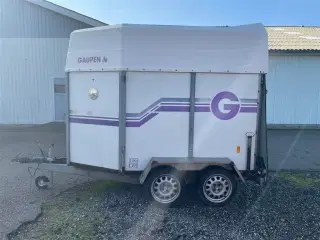 Gaupen-Henger Hestetrailer