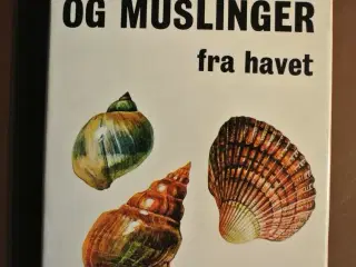 snegle og muslinger fra havet, Af j. lellak, emne: