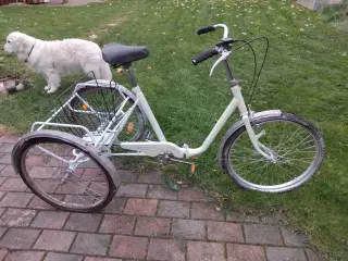 Trehjulet cykel 3 hjulet cykel