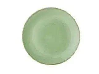 12 stk. Tallerken coupe grøn 260 mm Stonecast Churchill