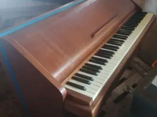 Klaver ny pris: 1000