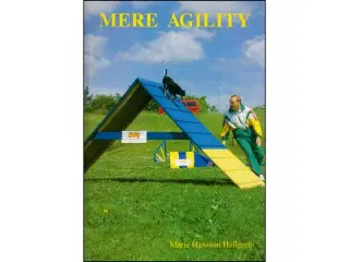 Mere Agility