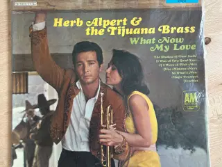 LP Herb Alpert 