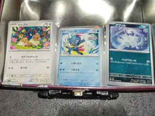 Pokemon kort