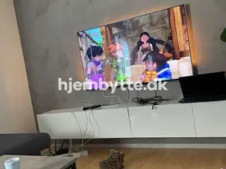 Hjembytte - Vægterparken