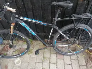 29" MTB Projekt