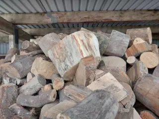 Blandet løvtræ