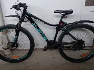mountain bike