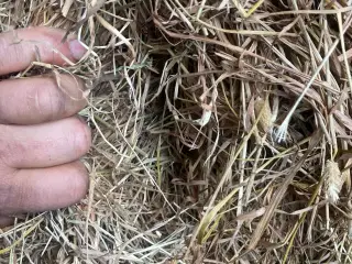 Godt tørt hø sælges