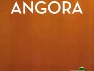 Drengene fra ANGORA ; Sæson 2  (3 DVD)