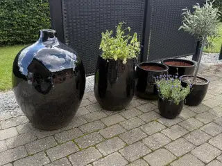 Krukker 