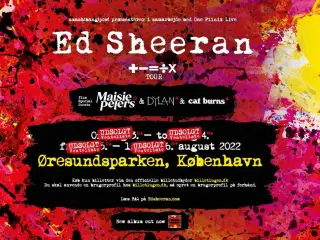 Ed Sheeran handicapbillet med ledsager 4/8-22