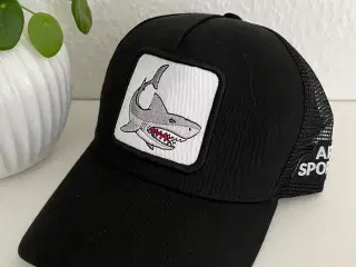Kasket