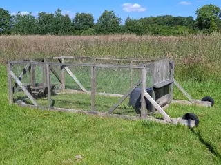 Kaninbur