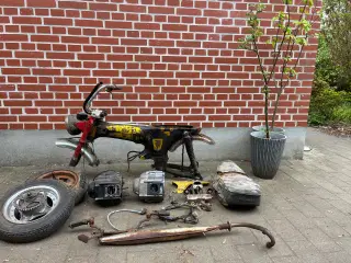 Honda Dax dansk 1973