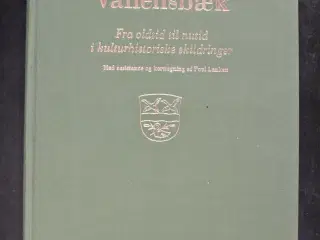 vallensbæk - fra oldtid til nutid i kulturhistoris