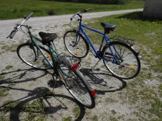 Cykel