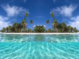 specialized sworks wc jumper 