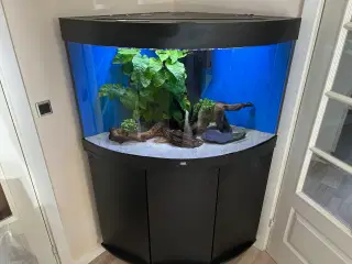Juvel 190 Liters hjørne akvarie
