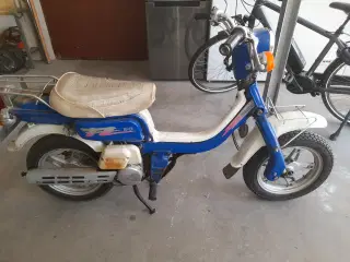 FZ 50