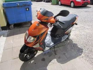 PGO T-rex 45 km