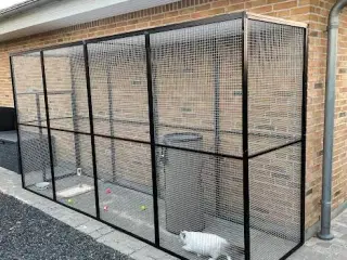 katte gårde55+