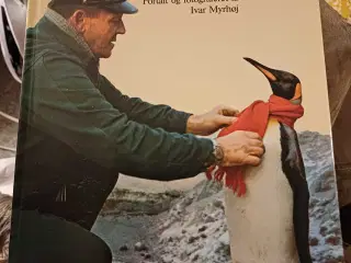 4 forskellige ældre børne bøger