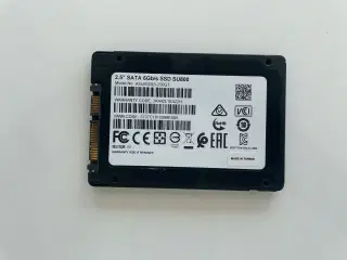 Adata Ultimate SU800 256GB - SSD