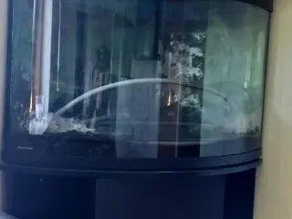 Fint akvarie 