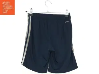 Adidas shorts (str. 140 cm)