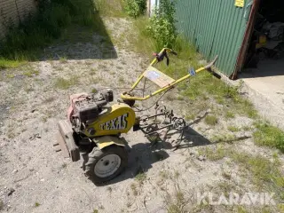 Fræser Texas