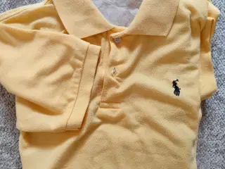 Polo Ralph Lauren t shirts 