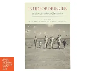 13 udfordringer til den danske velfærdsstat (Bog)