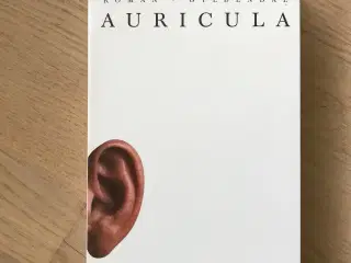 Per Højholt: Auricula