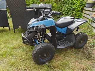 Børne Atv Renegade