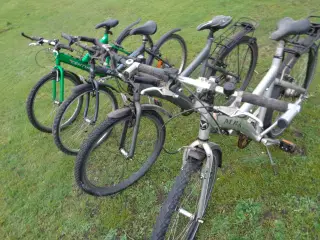 Mountainbike