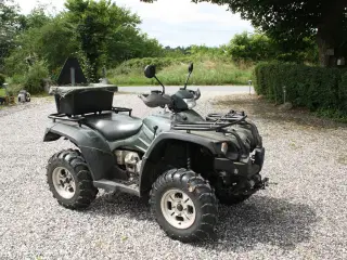 ATV Linhai 600 incl. sneskraber