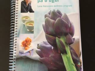 Sund og slank på 40 uger