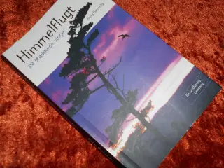 Himmelflugt på stækkede vinger, Kathy Bartalsky, 