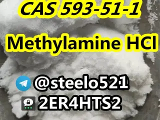 Hot in EU Methylamine hcl cas 593-51-1