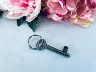 Nøgle 